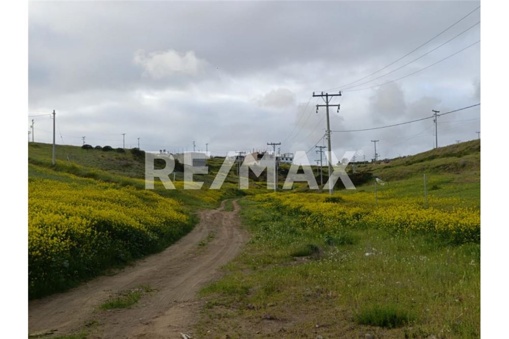 Residential - Plot of Land for Investment - Playas De Rosarito, Mexico - Mexico - 22 - 1001006243-60