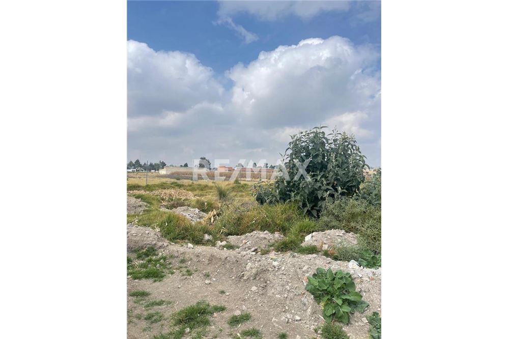 Residential - Plot of Land for Investment - Metepec, Mexico - Mexico - 2 - 1001021101-11
