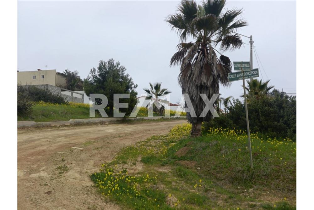 Residential - Plot of Land for Investment - Playas De Rosarito, Mexico - Mexico - 8 - 1001006243-59