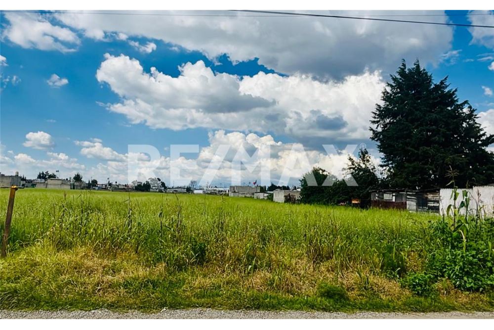 Residential - Plot of Land for Investment - Metepec, Mexico - Mexico - 1 - 1001021073-30