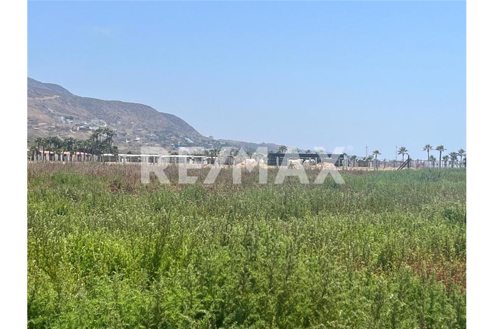 Commercieel - Grond - Playas De Rosarito, Mexiko - Mexico - 21 - 1001006182-85