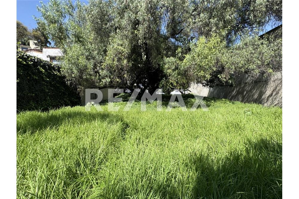 Wohnung - Grundstück für Freizeit - Huixquilucan, Mexiko - Mexico - 3 - 1001105001-1060