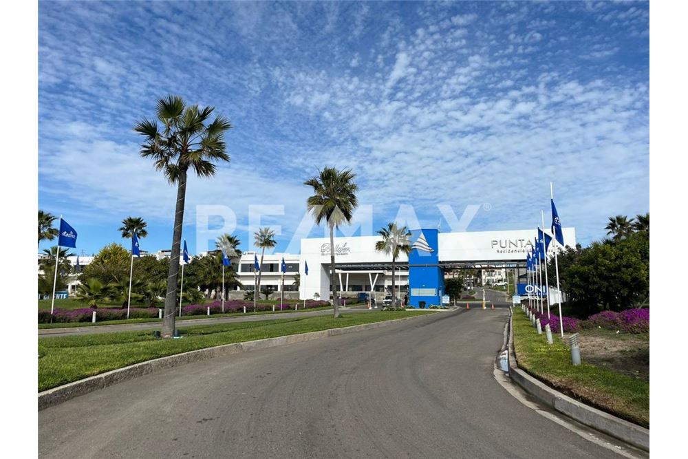 Elamine - Kinnistu kruntideks - Playas De Rosarito, Mehhiko - Mexico - 3 - 1001006176-104