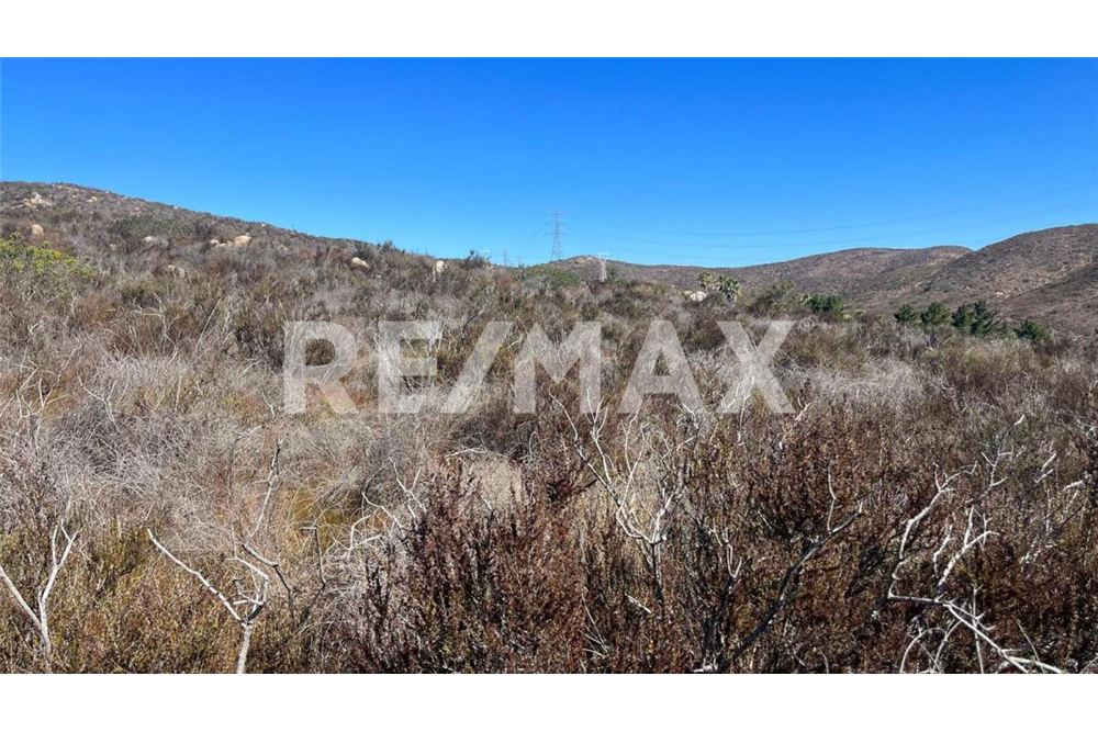 Residenziale - Parte di Terreno per Appezzamento - Ensenada, Messico - Mexico - 1 - 1001006182-102