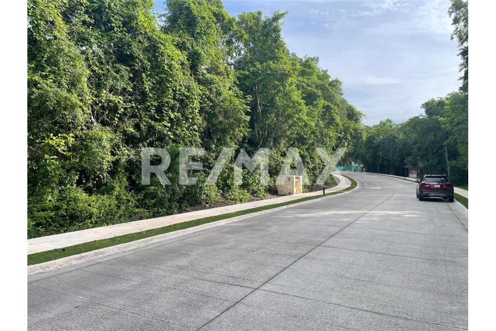 Residential - Plot of Land for Investment - Tulum, Mexico - Mexico - 1 - 1001040022-180