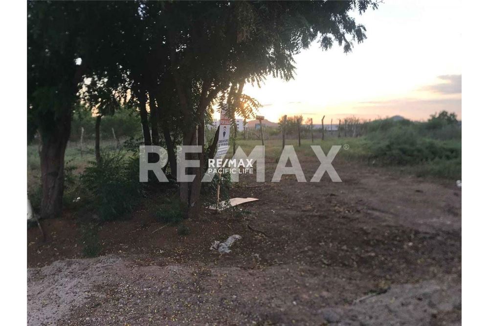Residencial - Parcela de tierra para inversión - Mazatlán, México - Mexico - 9 - 1001145062-5