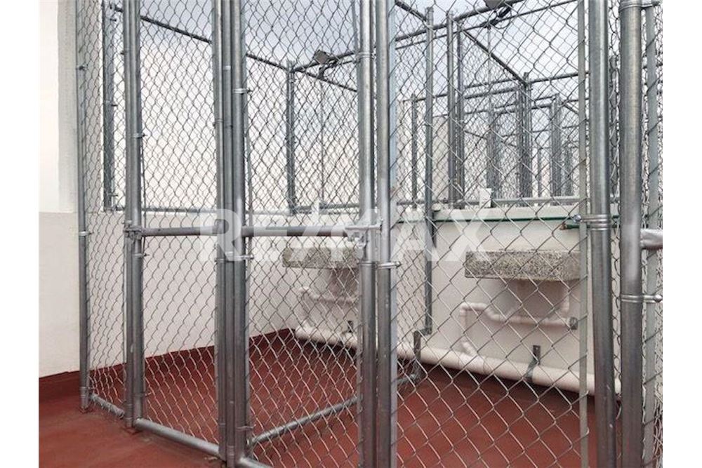 Residential - Apartment with roof - Ciudad de México, Mexico - Mexico - 21 - 1001028024-234