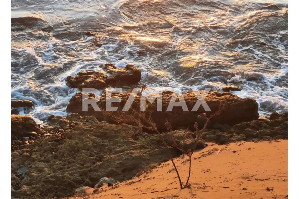 Commercio - Terreno - Comondu, Messico - Mexico - 6 - 1001006001-790