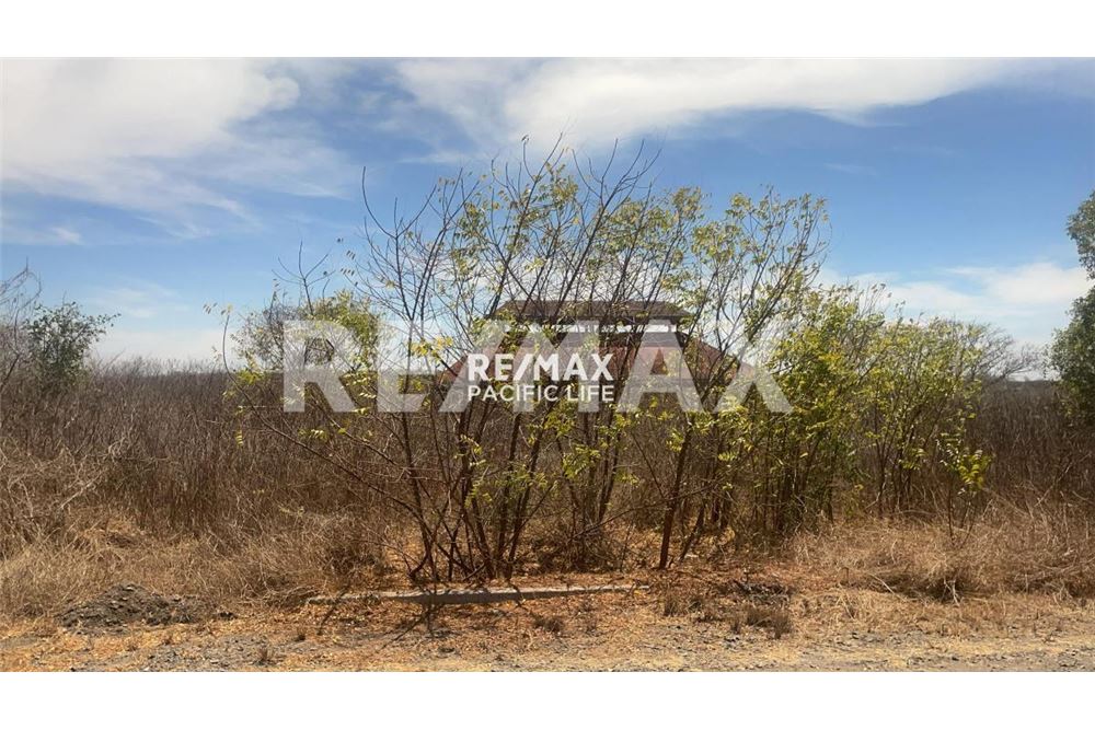 Residencial - Parcela de tierra para inversión - Mazatlán, México - Mexico - 2 - 1001145045-32