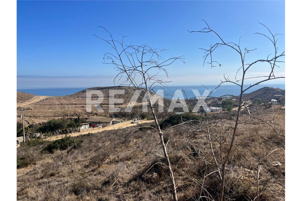 Prédio Habitacional - Plot of Land for Allotment - Playas De Rosarito, México - Mexico - 14 - 1001006182-87