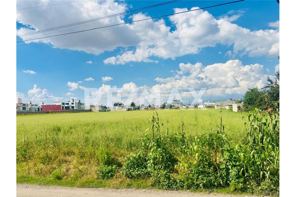 Residential - Plot of Land for Investment - Metepec, Mexico - Mexico - 4 - 1001021073-29