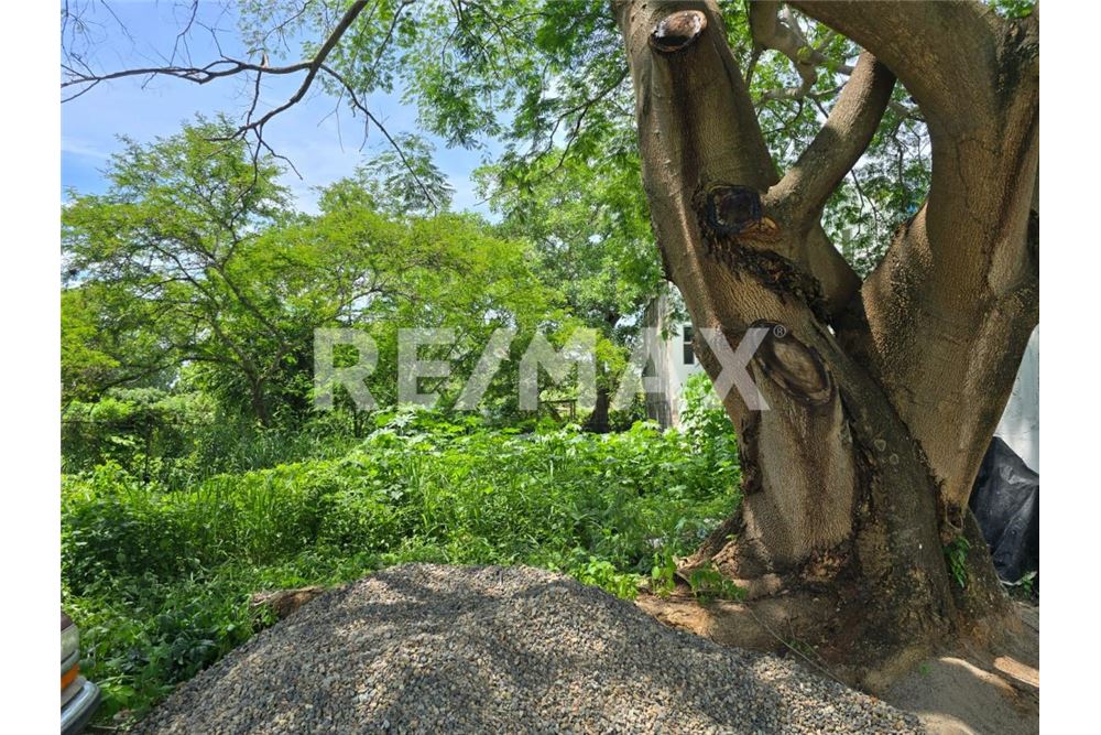 Residential - Plot of Land for Investment - Compostela, Mexico - Mexico - 7 - 1001121015-14