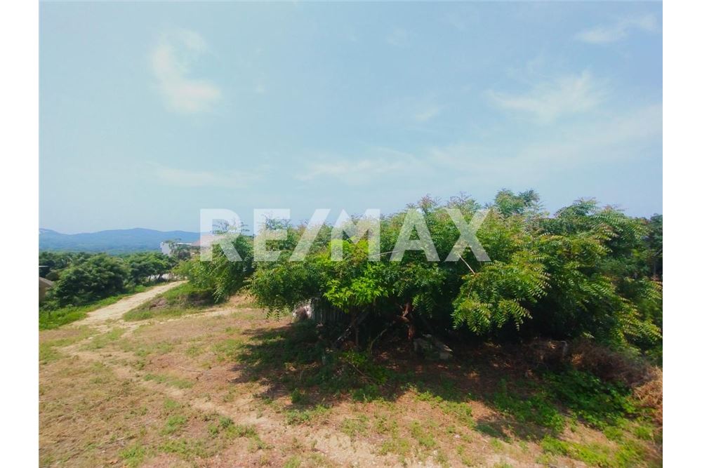 Residenziale - Parte di Terreno per Appezzamento - Puerto Escondido, Messico - Mexico - 11 - 1001245029-6