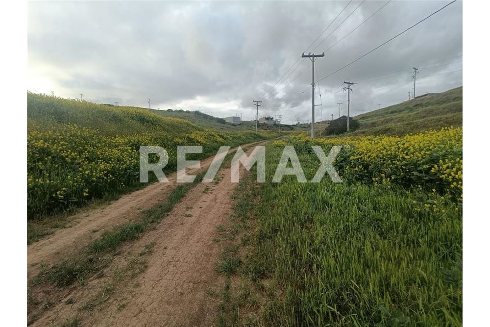 Residential - Plot of Land for Investment - Playas De Rosarito, Mexico - Mexico - 13 - 1001006243-60