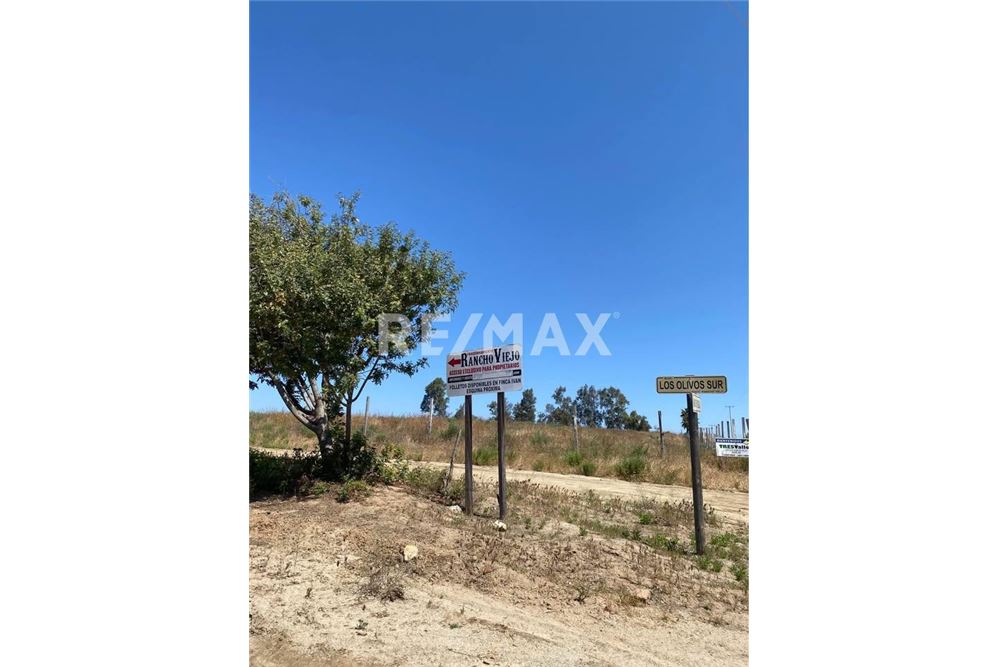 Residential - Plot of Land for Investment - Tecate, Mexico - Mexico - 9 - 1001104053-23