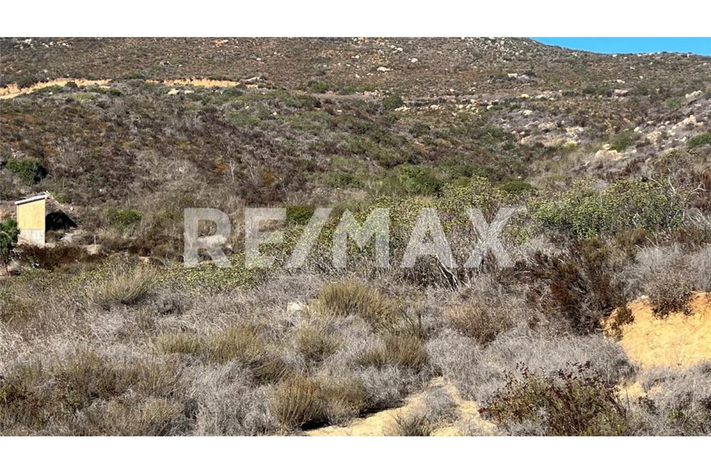 Residenziale - Parte di Terreno per Appezzamento - Ensenada, Messico - Mexico - 2 - 1001006182-102