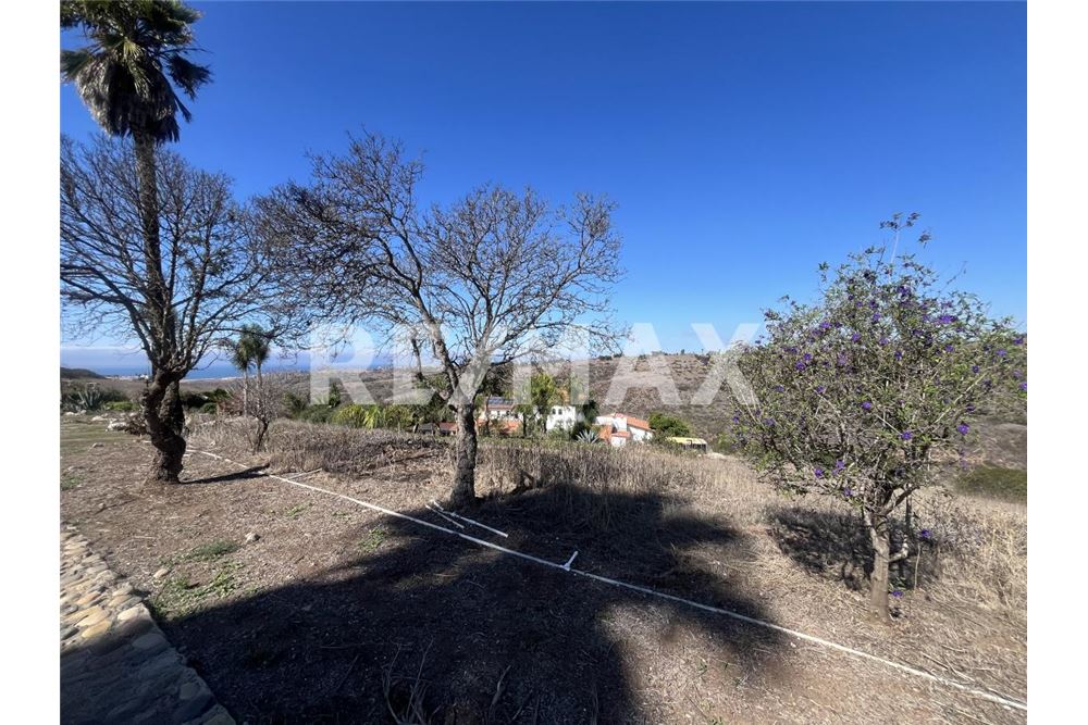 Residential - Plot of Land for Investment - Tijuana, Mexico - Mexico - 7 - 1001006253-34