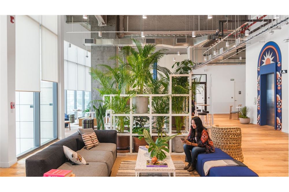 Commercieel - Büro - Ciudad de México, Mexiko - Mexico - 1 - 1001105001-576