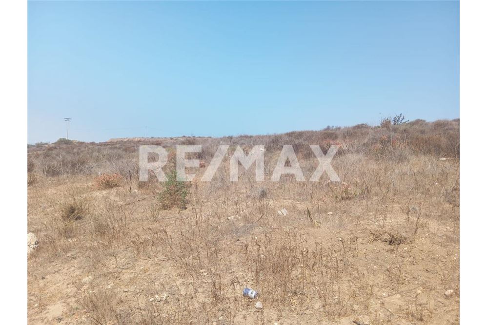 Residential - आवंटन हेतु भूमि का प्लॉट - Playas De Rosarito, मेक्सिको - Mexico - 2 - 1001006250-26