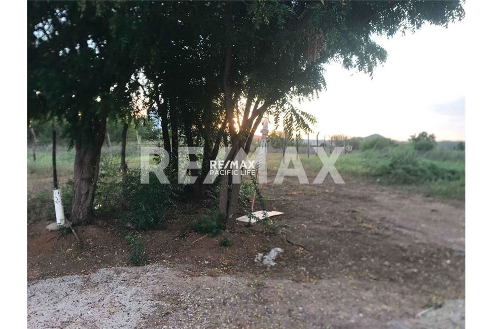 Residencial - Parcela de tierra para inversión - Mazatlán, México - Mexico - 10 - 1001145062-5