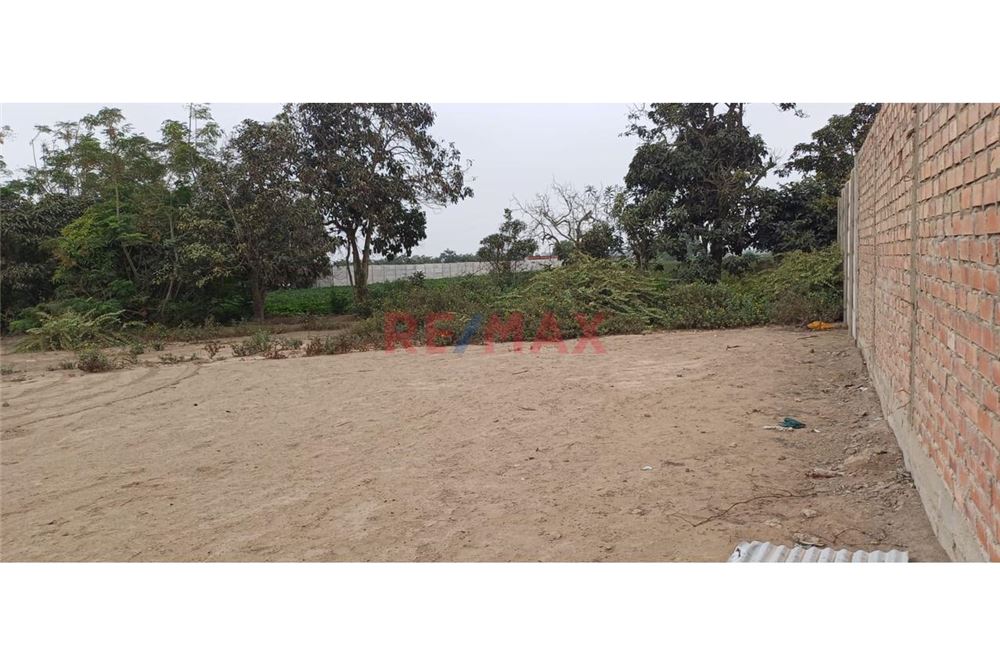 Commercieel - Grond - Huaral, Lima - Peru - 1 - 1002495027-2