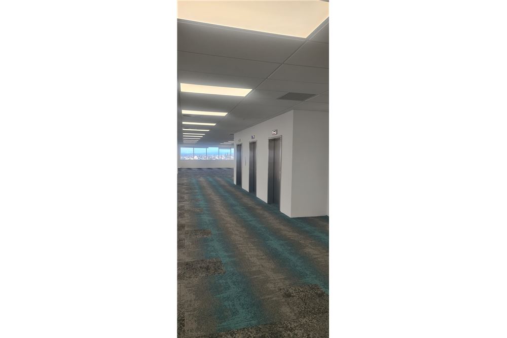 Commercial - Office - AUCKLAND, New Zealand - New Zealand - 2 - 1003257004-153