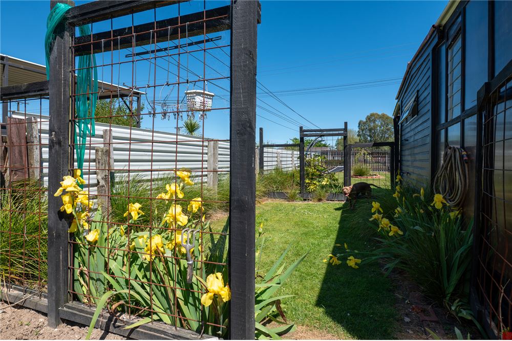 Residential - House - TAUPO, New Zealand - New Zealand - 27 - 1003257007-78