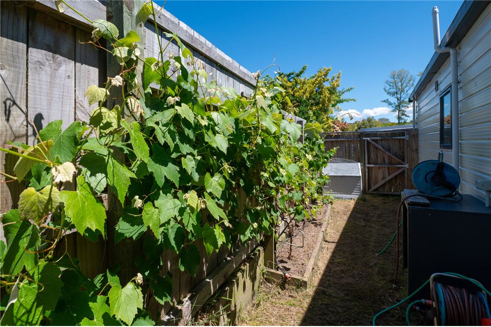 Residencial - Casa - TAUPO, Nueva Zelanda - New Zealand - 16 - 1003257007-69