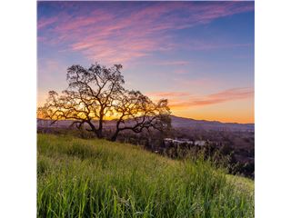 Office of RE/MAX Accord - Castro Valley