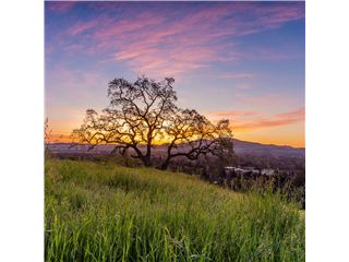 Office of RE/MAX Accord - Walnut Creek