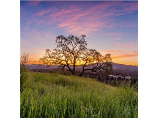 Office of RE/MAX Accord - Walnut Creek