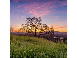 Office of RE/MAX Accord - Danville