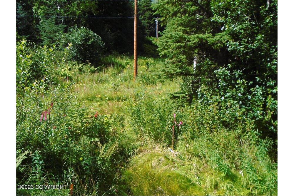 Residential Vacant Land Hope, Alaska, United States USA