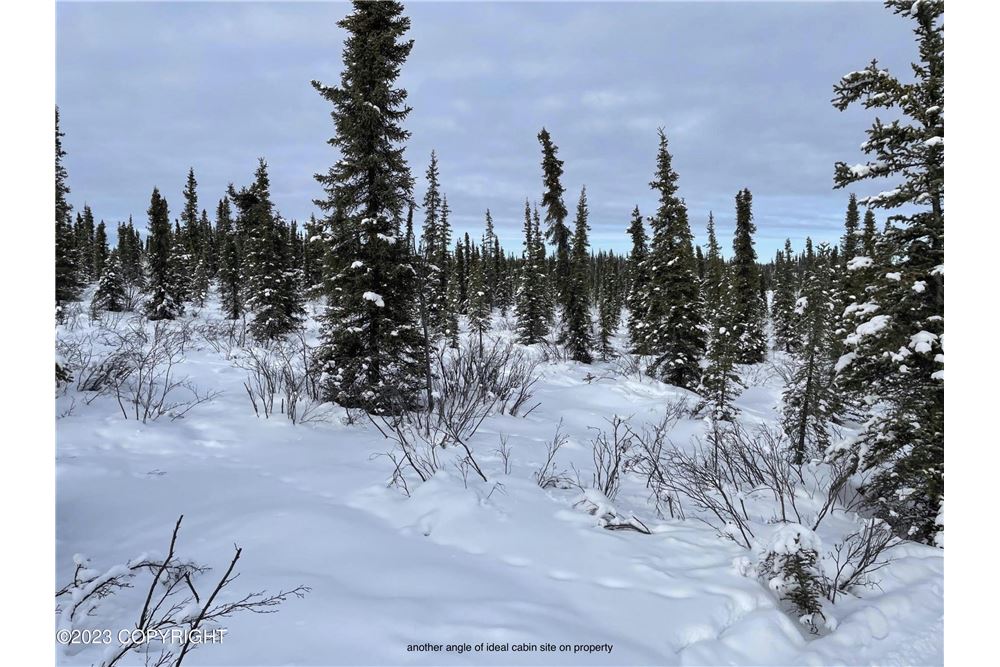 Residential Vacant Land Glennallen, Alaska, United States USA