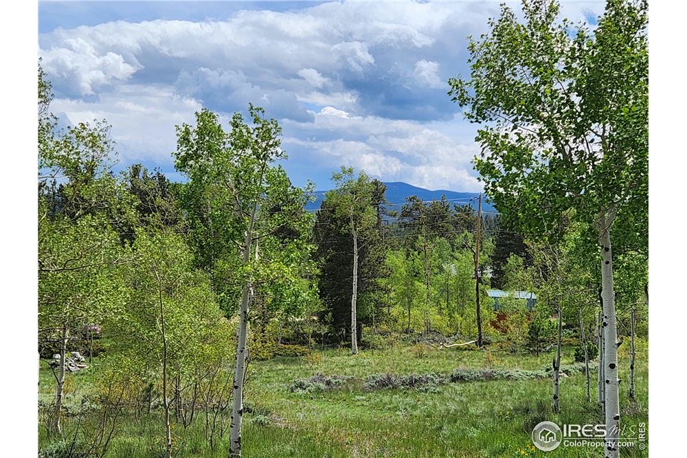 Land For Sale In Red Feather Lakes Co