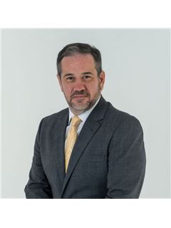 Will DiGiorgio - RE/MAX Components