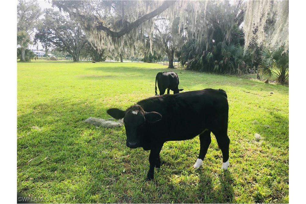 Residential - Vacant Land - Alva, Florida, United States - USA ...