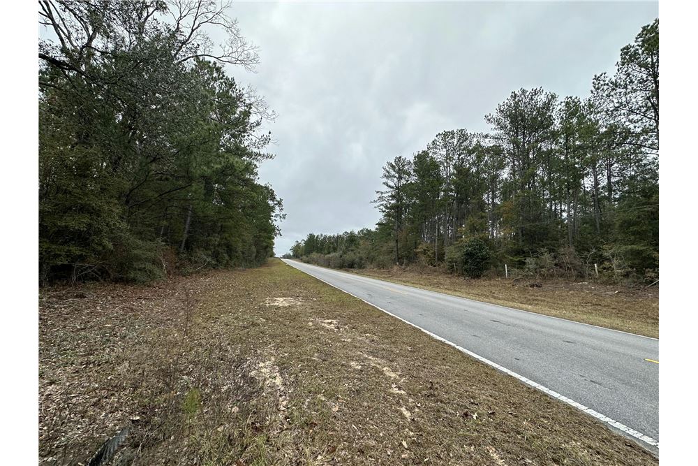 Residential - Vacant Land - Vernon, Florida, United States - USA ...