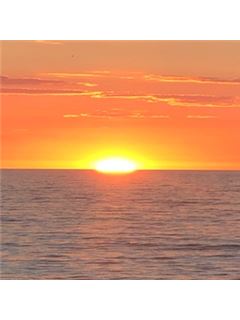 Sue Tharp - RE/MAX Suburban