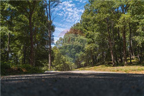 Slider Panorama Image Thumbnail
