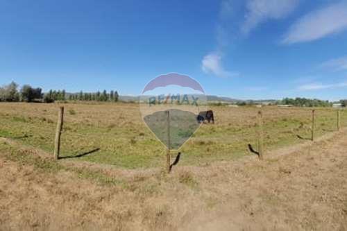 Slider Panorama Image Thumbnail
