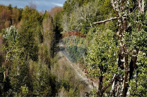 Slider Image Thumbnail