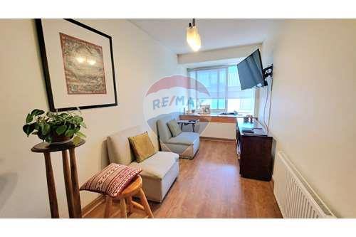 Departamento - Arriendo - Providencia, Santiago, Metropolitana De Santiago - IMG-20240109-WA0046.jpg - 1028050156-427