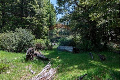 Venta Terreno Curarrehue - La Araucanía
