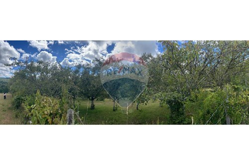 Slider Panorama Image Thumbnail