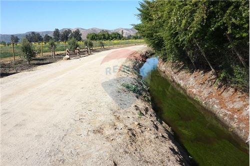 Venta Terreno María pinto - Región Metropolitana