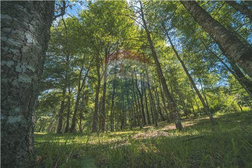 Slider Panorama Image Thumbnail