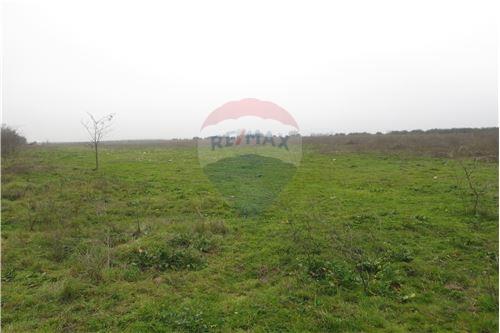 Venta Terreno Molina - Maule