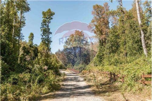 Venta Terreno Pucón - La Araucanía