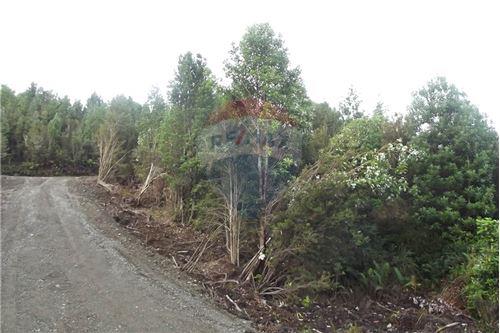 Venta Terreno Ancud - Los Lagos